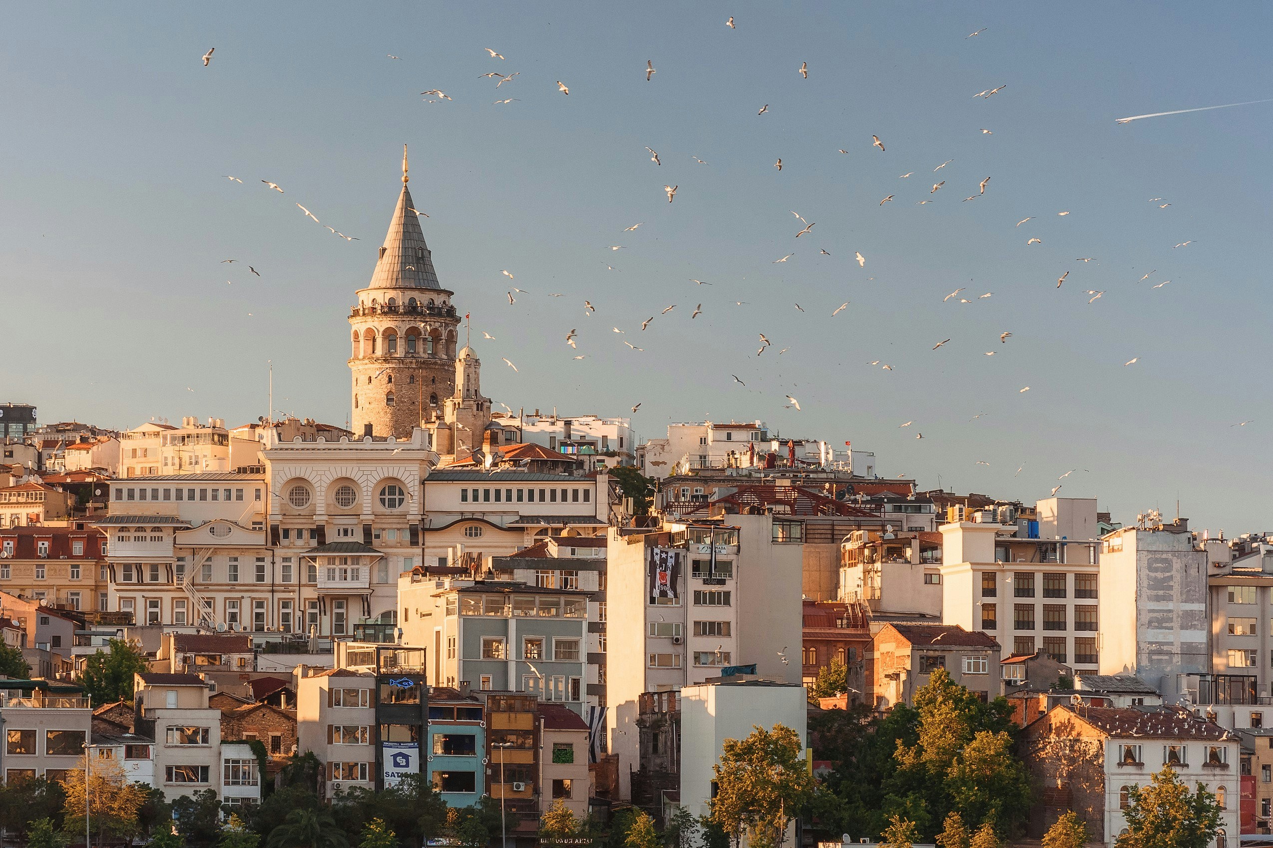 Which Citizenship-by-Investment Programmes Are Still Available?